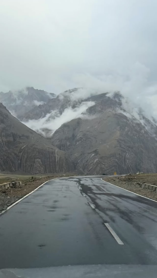 The Driving Addict